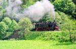 94 1292 hat soeben den  Knick  erreicht, die Stelle, an der die Steigung auf der Strecke Sttzerbach--Bf. Rennsteig so richtig in die vollen geht. Es ist immer wieder faszinierend, wie sich hier an der kleinen Brcke ber die noch junge Ilm, der Auspuffschlag abrupt verlangsamt ...
Frhling 2003 -- Minolta CLE/Leitz Tele-Elmarit-M 2,8/90 mm -- Fuji Reala