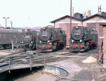 99 7242-3 Bw Wernigerode, vor dem alten Lokschuppen, im Mrz 1984 - daneben stehen 99 7240-7 und 99 6101-2.