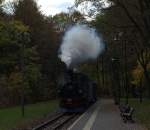 Eine typische Meyer-Lok bei der Einfahrt in den Haltepunkt  Lnitzgrund am 26.10.2013  um 09:52 Uhr. Sei befrdert den Teddybren Zug nach Moritzburg.