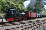 Die Dampflokomotive  Spreewald  startet gerade mit einem Güterzug vom Bahnhof in Hüinghausen. (Juli 2022)