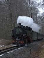 99 1761-8 mit einem kurzen Zug  bei Berbisdorf,auf dem Weg nach Radeburg. 10.01.2020 10:37 Uhr. Trübes Wetter, trübe Stimmung, einige wenige Fahrgäste sind auszumachen.