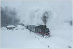 Winterdampf Pur - Bei heftigem Schneefall, fuhr die 99 1794 der Fichtelbergbahn, an unserem Fotostandpunkt in Hammerunterwiesenthal vorbei.
