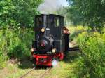 Der wahre Star in Chemnitz-Hilbersdorf  Dampflokomotive   LEO 70   des Eisenbahnmuseums Chemnitz-Hilbersdorf im Einsatz auf der Feldbahn.