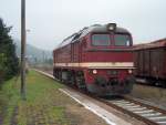 220 295-0 beim Rangieren in Walldorf/Werra am 28.09.07