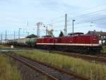 202 327 und 202 484 bei der Durchfahrt Stralsund Srg. (10.11.08)