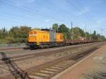 Trotz Schmierereien eine schne Abwechslung zum langweiligen Einheitsrot ist 202 271-3 der Bocholter Eisenbahngesellschaft. Fotografiert am 18.09.2009 in Niederndodeleben. 