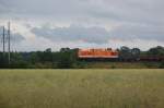 Locon 203 mit Rungenwagenzug zwischen Lohnde und Dedensen-Gmmer. 19.6.2011