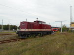 Hier steht die 203 227-4 der CLR-Service GmbH am 21.08.2016 im Bf Eberswalde. Sie trägt noch das Lokschild mit der Nummer 202 327-3.