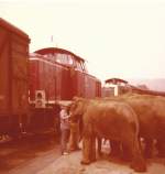 Früher wurden im Bahnhof Eichstätt Stadt noch Güter verladen. Wenn der Zirkus in der Stadt war auch einmal Elefanten. Aufnahmedatum leider unbekannt. Der Fotograf war mein Vater Franz Bauch.