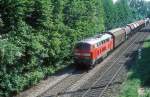   215 006  bei Erbach  25.05.01