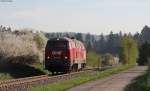 OHE  200085 als Tfzf 99*** (Rottweil-Knauf) an der Awanst Knauf 11.4.14