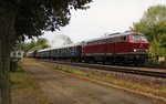 216 224-6 (IGE) mit DPE 62064 als Überführung einer schwedischen Dampflok B 1135 am 03.10.16 von Rostock Seehafen nach Augsburg. Hier der Zug in Pöllwitz bei einer Zugkreuzung.