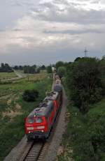 217 022 und 217 012 mit FZ 56704 bei Schwindegg (25.05.2007)