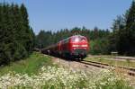 217 021 und 217 015 mit FZ 56521 vor Kastl (02.07.2008)