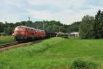 Br 217 021-5 + Br 217 XXX mit ein mischer in richtung Burghausen durch Tssling 20/08/2010.