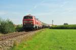 Br 217 019-9 + Br 217 xxx mit ein Kesselwagenganzzug in Heiligenstadt 20/08/2010.