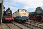 BR 217 014-0 am 03.06.2011 beim 35 Jhrigen Jubilum des Eisenbahnmuseums Darmstadt Kranichstein.