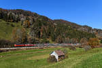 Die 218 401 und 423 brachten am 07. November 2020 den EC 194 nach Lindau. Der Tag zeigte sich mild und klar, bei Ratholz war auch noch etwas herbstlich eingefärbtes Laub an den Bäumen zu finden. 