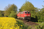 DB 218 435-6 fährt im Frühjahr an einem der Rapsfelder an der Bäderbahn vorbei.