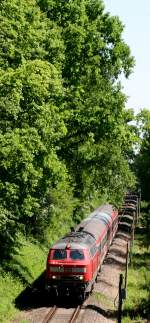 Als Weinstraen-Express ist die im BW Trier beheimatete 218 424 von Koblenz nach Wissembourg unterwegs. Die Aufnahme entstand zwischen Winden und Schaidt.