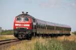 Regional-Express von Lbeck nach Bad Kleinen. Hier gezogen von der 218 499-2 kurz vor Bad Kleinen. 23.07.2008 