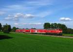 218 443 zieht ihren IRE 4211 (Ulm Hbf-Lindau Hbf) durch die fotografisch wunderbar gelegene Kurve bei Otterswang und erreicht bald den Bahnhof Aulendorf. (11.September 2010)