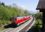 218 404-2 und eine weitere 218er durchfahren am 17.04.2011 mit dem EC 195 von Zrich nach Mnchen den Bogen am Hoyerberg in Bodolz.