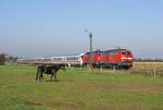 218 321-8 und 218 397-8 mit IC 2171 nach Frankfurt (Main) Hbf am 9.10.2010 bei Risum-Lindholm. 