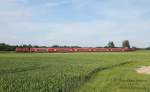 218 416 und 445 am 15.6.13 bei Thann-Matzbach als RB 