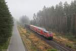 218 421 mit Radlzug RE 27011 am 10.08.2013 bei Weiherhammer.