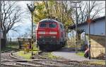 218 476-0 und 218 499-2 stehen in Lindau Hbf am Ufer des Bodensees.