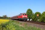 218 452-1 mit dem RE 14065 (Hannover Hbf - Bad Harzburg) in Baddeckenstedt am 03.05.14