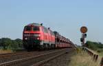 218 381 in Klanxbüll-Dreieckskoog am 23.07.14.