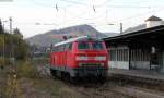 218 413-3 in Neustadt(Schwarzw) 4.11.14