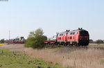 218 344-0 und 218 314-8 mit dem AS 1447 (Westerland(Sylt)-Niebüll) bei Lehnshallig 8.5.16
