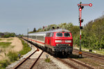 Die Diesellokomotive 218 307-7 fährt mit dem IC 2315 Deichgraf von Westerland /Sylt nach Frankfurt Hbf in Klanxbüll vorüber.Bild vom 18.5.2016