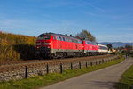 218 401-8 voraus mit dem EuroCity aus München in zwischen den Apfelplantagen in den Hügeln um Lindau.