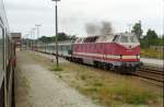 Am 29. August 1999 verlaesst 219 134-4 Arnsdorf mit einer Regionalbahn in Richtung Dresden.