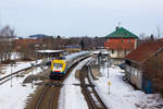 Alex mit Bodo c/s, 223 013  in Hergatz. 24.2.19