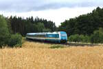 Alex 223 065 ist mit einem Alex RE2 (Hof Hbf - München Hbf) bei Wiesau in der Oberpfalz unterwegs. (25.07.2023)