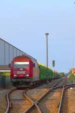 Der beladene Holzzug wurde aufs Hauptgleis umgesetzt und fährt in Kürze nach Niedergörne ab. - Torgelow 03.08.2013 - Vom BÜ Borkenstr. aufgenommen. 
