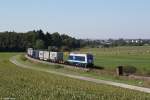 Integro 223 144 mit einem Containerzug am 06.09.2013 bei Thans.