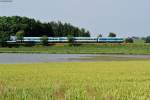 Eine unbekannt gebliebene 223 mit dem ALX 84102 von München Hbf nach Hof Hbf bei Oberteich, 18.07.2013