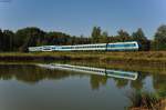 223 063 mit ALX 84102 von München Hbf nach Hof Hbf bei den Waldseen kurz vor Wiesau (Oberpf), 07.09.2013