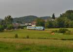 223 065 mit einem Personenwagen am 20.07.2014 bei Gotteszell.