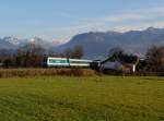 Die 223 064 mit einem ALEX nach München am 29.11.2014 unterwegs bei Sonthofen.