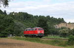 225 133-8 als Hilfz 99xxx (Tübingen Hbf-Bieringen(b.Horb)) bei Bad Niederau 19.8.17