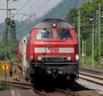 225 029 war am 23.05.09 mit einem Unkrautspritzzug in Unkel (Rhein) unterwegs (Schlusslok war 225 150).