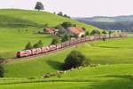 Den auf Grund der Arlbergsperre ersten an diesem Tag umgeleiteten Gterzug ziehen vier 225er am 12.08.2011 bei Heimhofen Richtung Lindau.