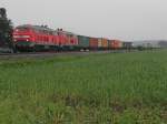 225 803-6 und 225 809-3 haben den von Maschen kommenden Containerzug in Ulm bernommen und ziehen diesen am 11.09.2014 zwischen Mochenwangen und Niederbiegen nach Lindau-Reutin. Dort wird der Zug von einer BB-Lok bernommen und zum Zielbahnhof in Wolfurt gezogen.